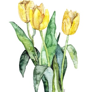 Tulip Painting - Print from Original Watercolor Painting, &quot;Yellow Tulips&quot;, Watercolor Flowers, Yellow Flower, Garden
