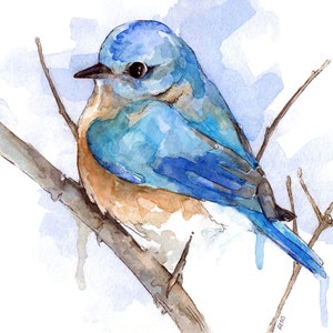 Bluebird Painting - Print from Original Watercolor Painting, "Bluebird", Home Decor