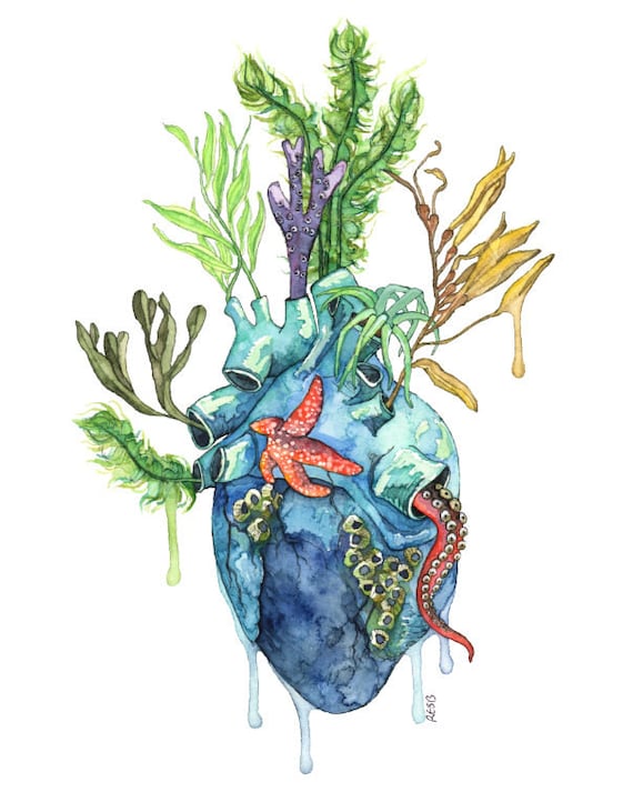 Heart store the ocean