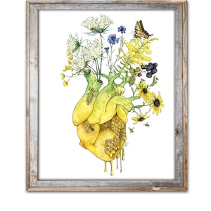 May include: A watercolor painting of a human heart with a honeycomb texture, dripping honey. The heart is surrounded by a variety of flowers, including yellow wildflowers, blue cornflowers, and white Queen Anne's Lace. There are also bees and a butterfly flying around the heart.