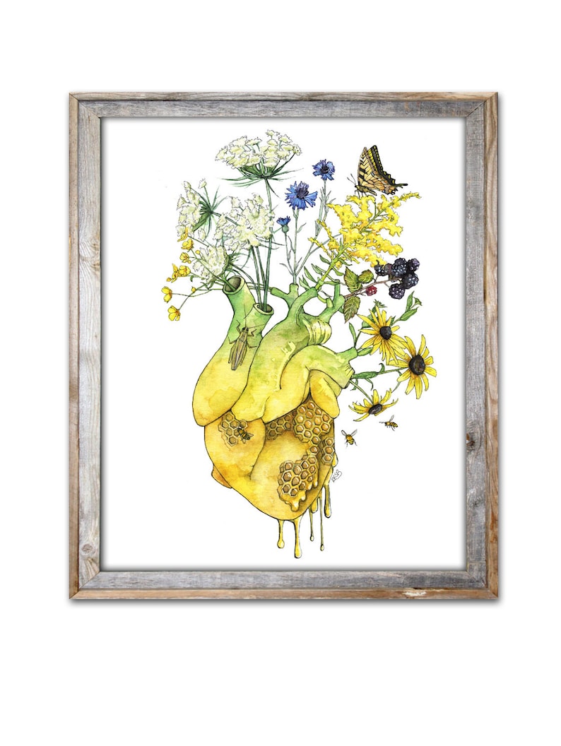 May include: A watercolor painting of a human heart with a honeycomb texture, dripping honey. The heart is surrounded by a variety of flowers, including yellow wildflowers, blue cornflowers, and white Queen Anne's Lace. There are also bees and a butterfly flying around the heart.