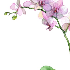 Potted Orchid Painting Print titled, Pink Orchid, Orchid Painting, Orchid Print, Botanical, Potted Plant, Orchid Plant, Flower Painting image 3