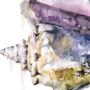 Seashell Painting Print from Original Watercolor Painting, Tidal Conch, Beach Decor, Beach House, Watercolor Seashell image 2