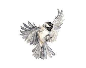 Bird in Flight Painting - Print from Original Watercolor Painting, "Freedom", Chickadee, Songbird, Flying Bird