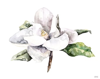 Magnolia Painting, Watercolor Flower, Watercolor Painting, White Magnolia, Botanical Print, Flower Print, Flower, Print titled, "Magnolia 4"