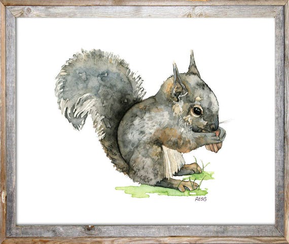 リスの絵 水彩画の赤ちゃんリスの絵 - 「赤ちゃんリス」と題されたプリント、森