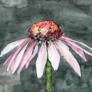Coneflower Painting Print From Original Watercolor Painting, one ...