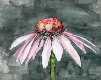 Coneflower Painting - Print from Original Watercolor Painting, "One Coneflower", Garden Art, Pink Flower