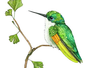 Hummingbird Painting, Watercolor Painting, Hummingbird Art, Hummingbird Print, Bird, Bird Prints, Garden, Print titled, "Green Hummingbird"
