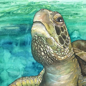 May include: A watercolor painting of a sea turtle swimming in turquoise water. The turtle's head is turned upwards, looking towards the surface. The turtle's shell is a mottled brown and green color.