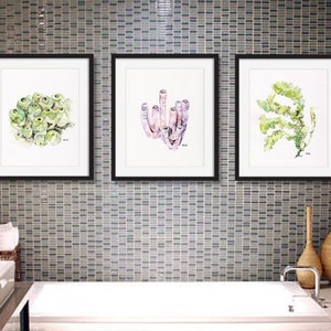Seaweed print set of 3 - 8x10 Watercolor Paintings, Seaweed Watercolors, Beach Decor, Seashore, Sea, Seaweed Wall Decal,  Beach Prints