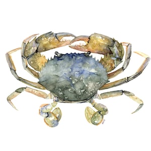 Blue Crab Painting- Print from Original Watercolor Painting, "Blue Crab", Beach Decor, Seashore, Crab, Maryland Crab, Crab Decor