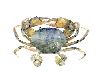 Blue Crab Painting- Print from Original Watercolor Painting, "Blue Crab", Beach Decor, Seashore, Crab, Maryland Crab, Crab Decor