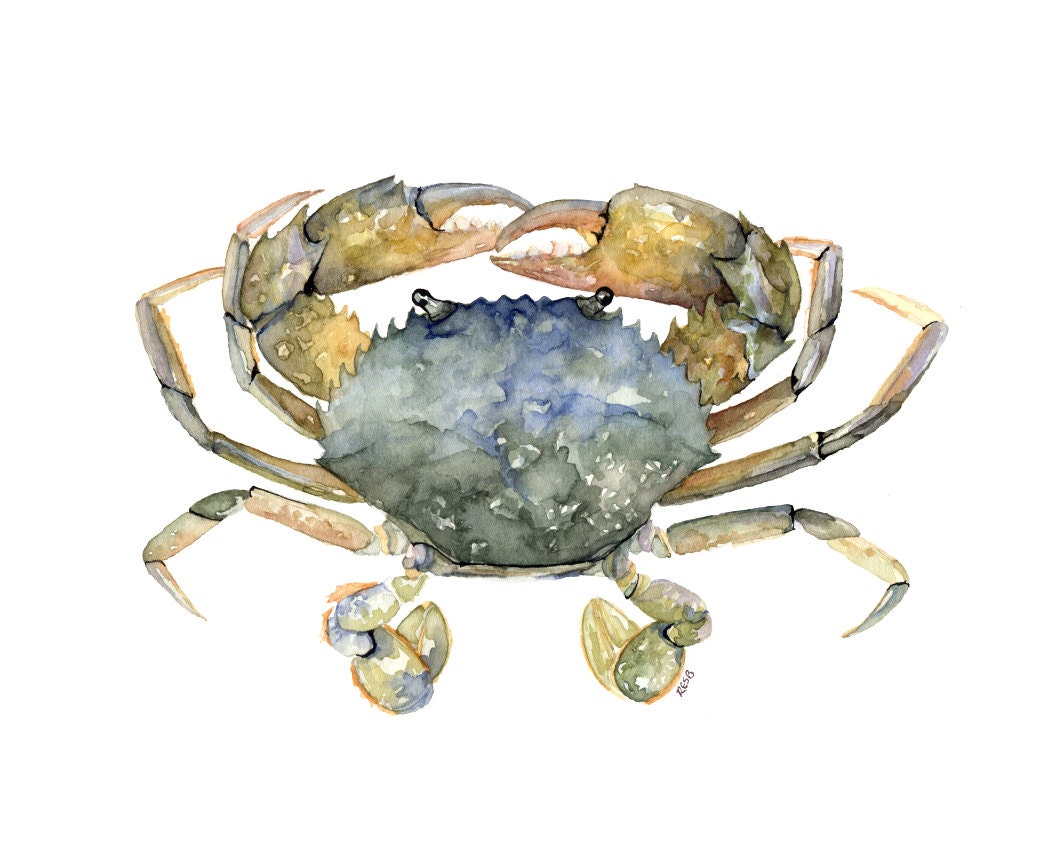 ブルークラブの絵画 - オリジナルの水彩画からのプリント、「ブルークラブ」、ビーチの装飾、海岸、カニ、メリーランドのカニ、カニの装飾 - Etsy 日本