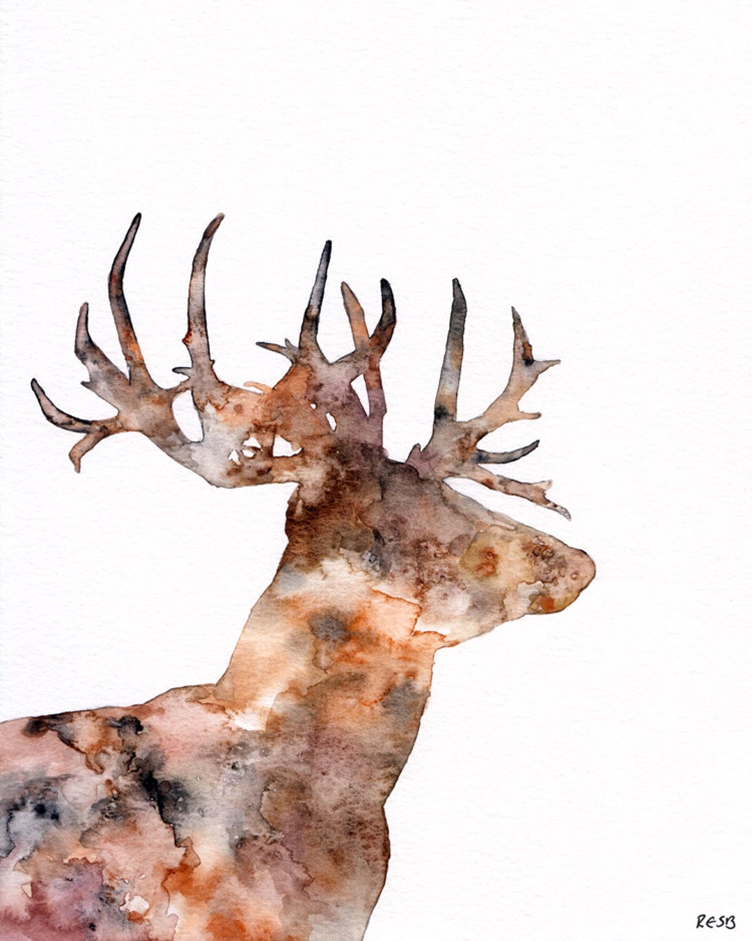 水彩画「鹿」 水彩画 白樺林に鹿 絵画 makochin 通販 14696122｜Creema(クリーマ)