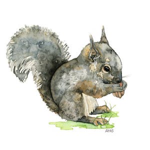 Watercolor Baby Squirrel Painting - Print titled, "Baby Squirrel", Woodland Nursery, Nursery Decor, Woodland Animals, Baby Animal Prints