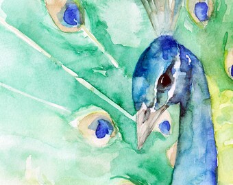 孔雀の絵 - オリジナルの水彩画からのプリント、「虹色」、鳥、孔雀の