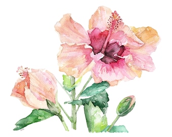 Hibiscusschilderij - afdruk van origineel aquarelschilderij, "Hibiscus and Bud", hibiscusbloem, bloemen, aquarelbloem