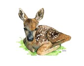Watercolor Fawn Painting - Print titled, "Baby Deer", Woodland Nursery, Nursery Decor, Woodland Animals, Baby Animal Prints, Baby Animal Art