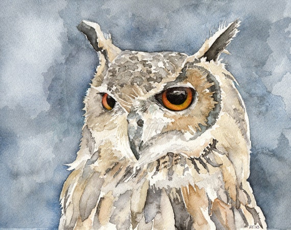 アメリカワシミミズクの絵画 - オリジナルの水彩画からの印刷、「夜の