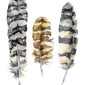 Feather Painting Print from Original Watercolor Painting, Owl Feathers, Bird Feathers, Feather Print, Owl image 1