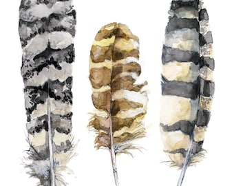 Feather Painting - Print from Original Watercolor Painting, "Owl Feathers", Bird Feathers, Feather Print, Owl