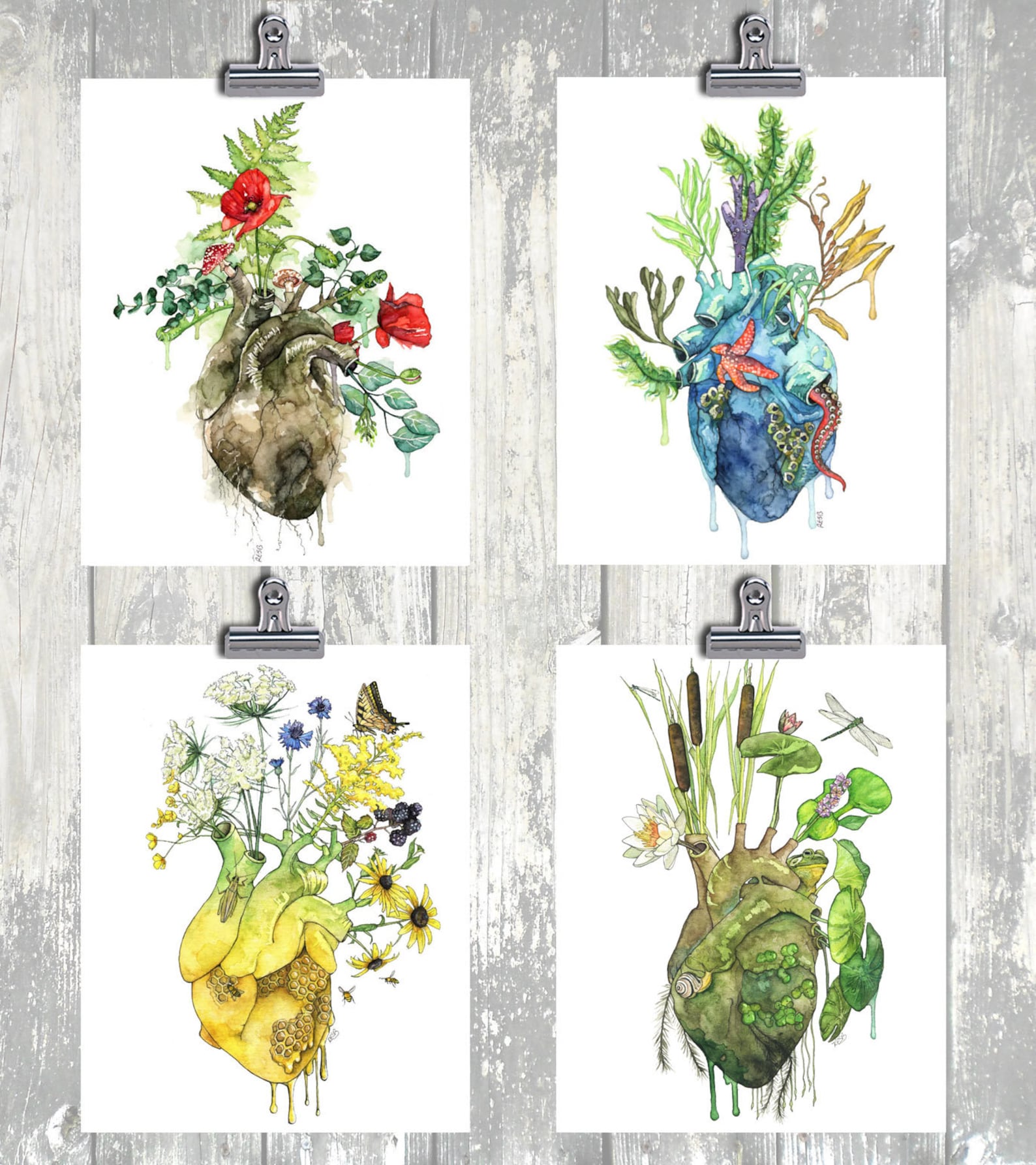 Anatomical Heart Set of 4 - Watercolor Prints, Botanical Paintings ...