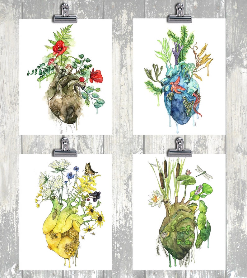 Anatomical Heart Set of 4 - Watercolor Prints, Botanical Paintings ...
