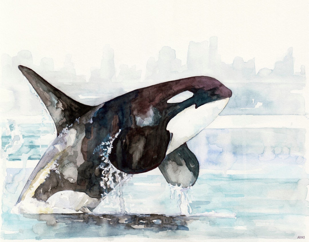 Orca whale in martini glass watercolor  Art Board Print for Sale by Maryna  Salagub