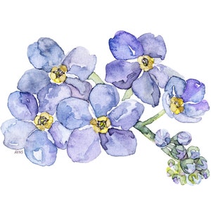 Forget Me Not Painting - Print from my Original Watercolor Painting, "Forget Me Nots", Garden Decor, Blue Flower, Watercolor Flower