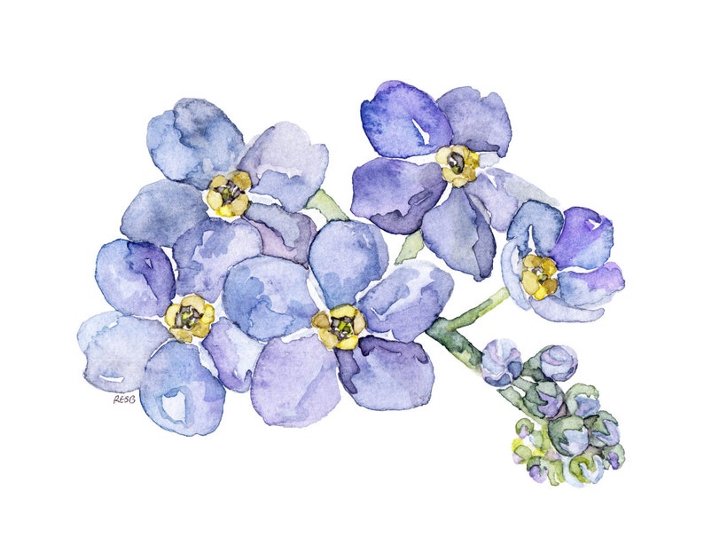 Forget Me Not Painting Print from my Original Watercolor Painting, Forget Me Nots, Garden Decor, Blue Flower, Watercolor Flower image 1