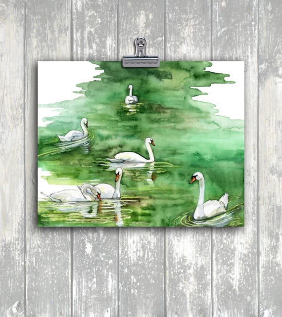 水彩画、白鳥の絵、白鳥のプリント、水彩画プリント、絵画、水彩画