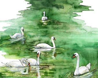 Watercolor Painting, Swan Painting, Swan Print, Watercolor Print, Painting, Watercolor Painting, Swan, Pond, Art, Print titled, "Swan Lake"
