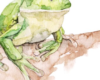 アマガエルの絵画 - オリジナルの水彩画から印刷、「白い唇の