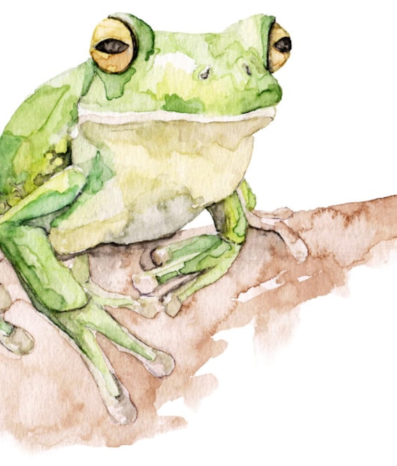 アマガエルの絵画 - オリジナルの水彩画から印刷、「白い唇の