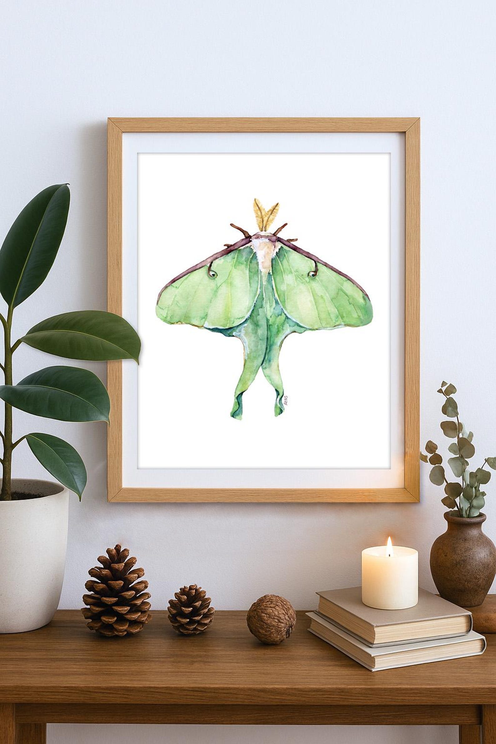 Luna Moth Art Print – Watercolor Insect Wall Art, Green Luna Moth ...
