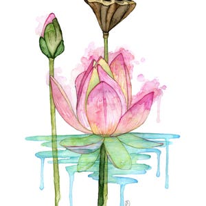 Watercolor Painting, Lotus Painting, Watercolor Print, Watercolor Flower, Lotus Flower, Watercolor Print, Lotus,Print titled,"Lotus Blossom"
