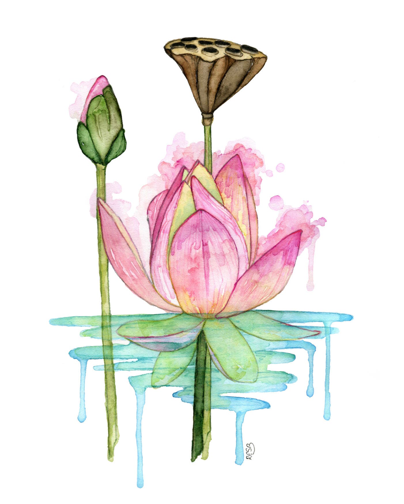 Buy Watercolor Painting Lotus Painting Watercolor Print Online in India -  Etsy