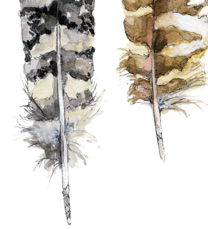 Feather Painting Print from Original Watercolor Painting, Owl Feathers, Bird Feathers, Feather Print, Owl image 2