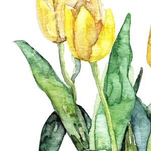 Tulip Painting Print from Original Watercolor Painting, Yellow Tulips, Watercolor Flowers, Yellow Flower, Garden image 2