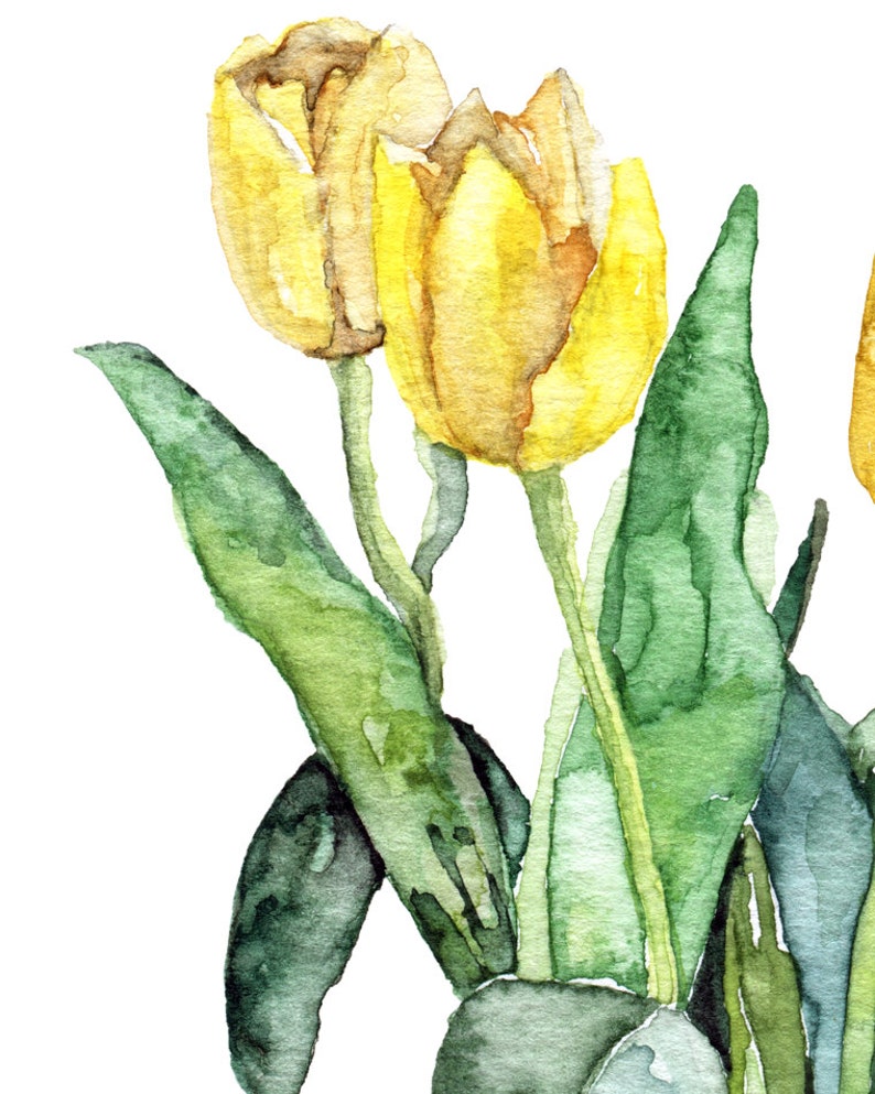 Tulip Painting Print from Original Watercolor Painting, Yellow Tulips, Watercolor Flowers, Yellow Flower, Garden image 2