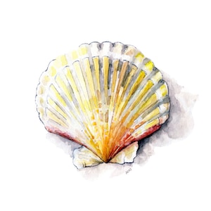Seashell Painting 2 - Print from Original Watercolor Painting, "Sea Scallop", Beach Decor, Sea Shell, Ocean, Sea Shell Art