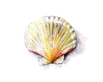 貝殻の絵画 2 - オリジナルの水彩画からのプリント、「ホタテ貝