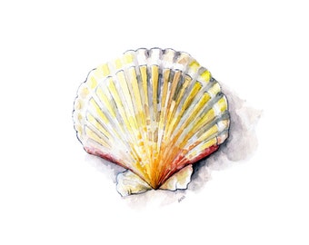 Seashell Painting 2 - Print from Original Watercolor Painting, "Sea Scallop", Beach Decor, Sea Shell, Ocean, Sea Shell Art