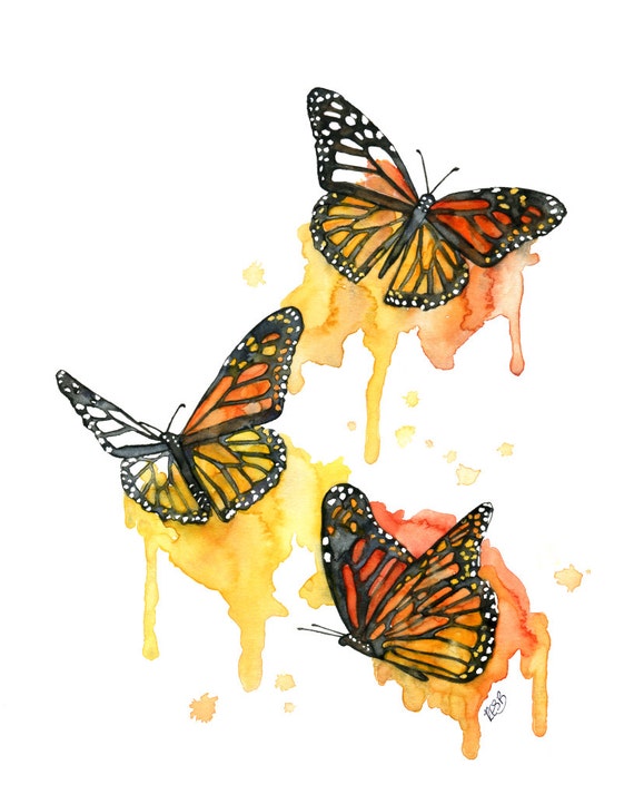 aquarelle papillon frame