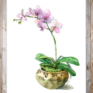 Potted Orchid Painting Print titled, Pink Orchid, Orchid Painting, Orchid Print, Botanical, Potted Plant, Orchid Plant, Flower Painting image 2