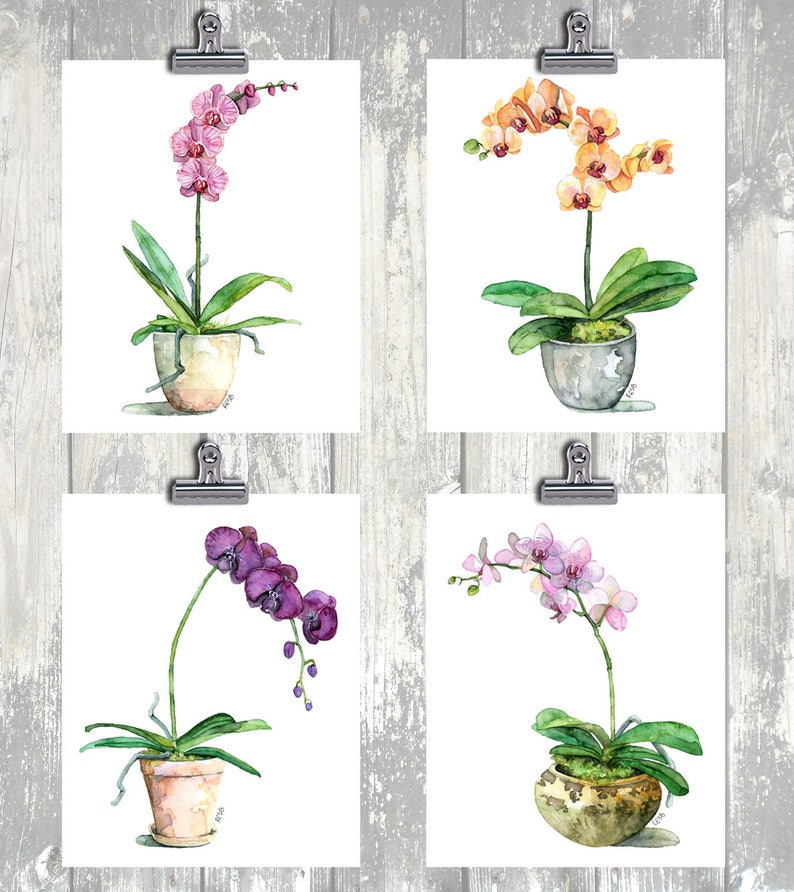 Potted Orchid Painting Print titled, Pink Orchid, Orchid Painting, Orchid Print, Botanical, Potted Plant, Orchid Plant, Flower Painting image 4