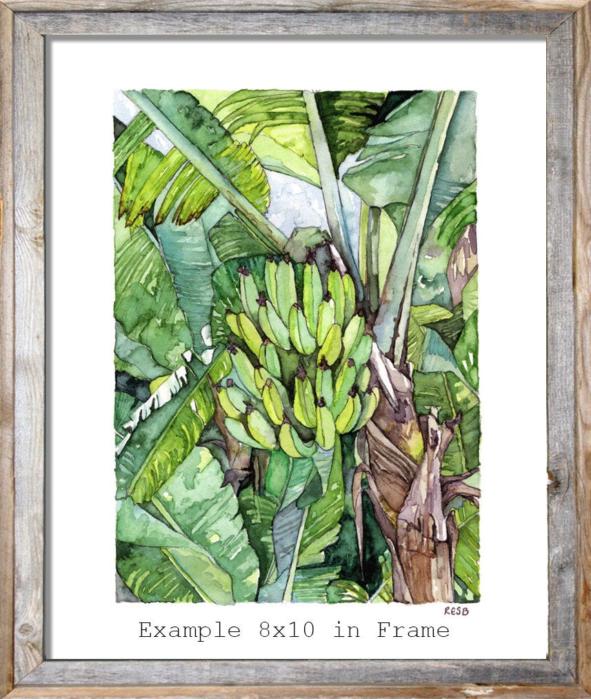 バナナの木の絵画 - オリジナルの水彩画からのプリント、「バナナの木 バナナの木の絵画 - オリジナルの水彩画からのプリント、「バナナの木