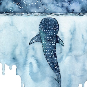 XLARGE Watercolor Whale Shark Painting - Sizes 16x20 and up, &quot;Stars Collide&quot;, Whale Shark, Whale Art, Whale Print, Shark, Whale, Beach Decor