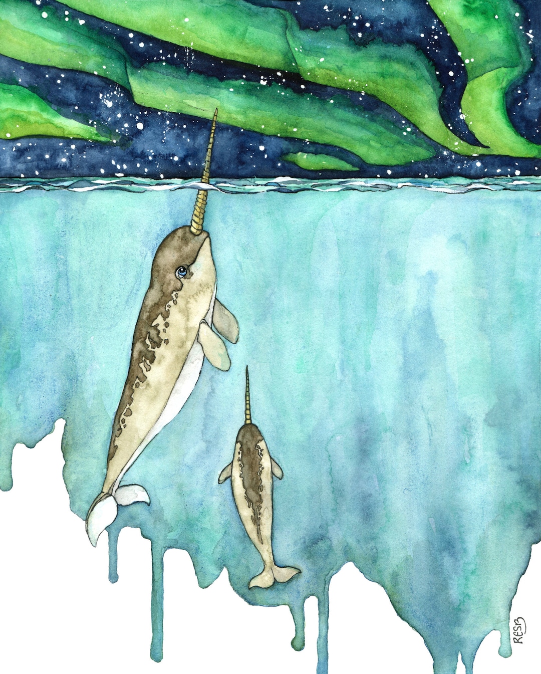 Watercolor Painting, Narwhal Painting, Narwhal, Narwhal Art, Whale ...